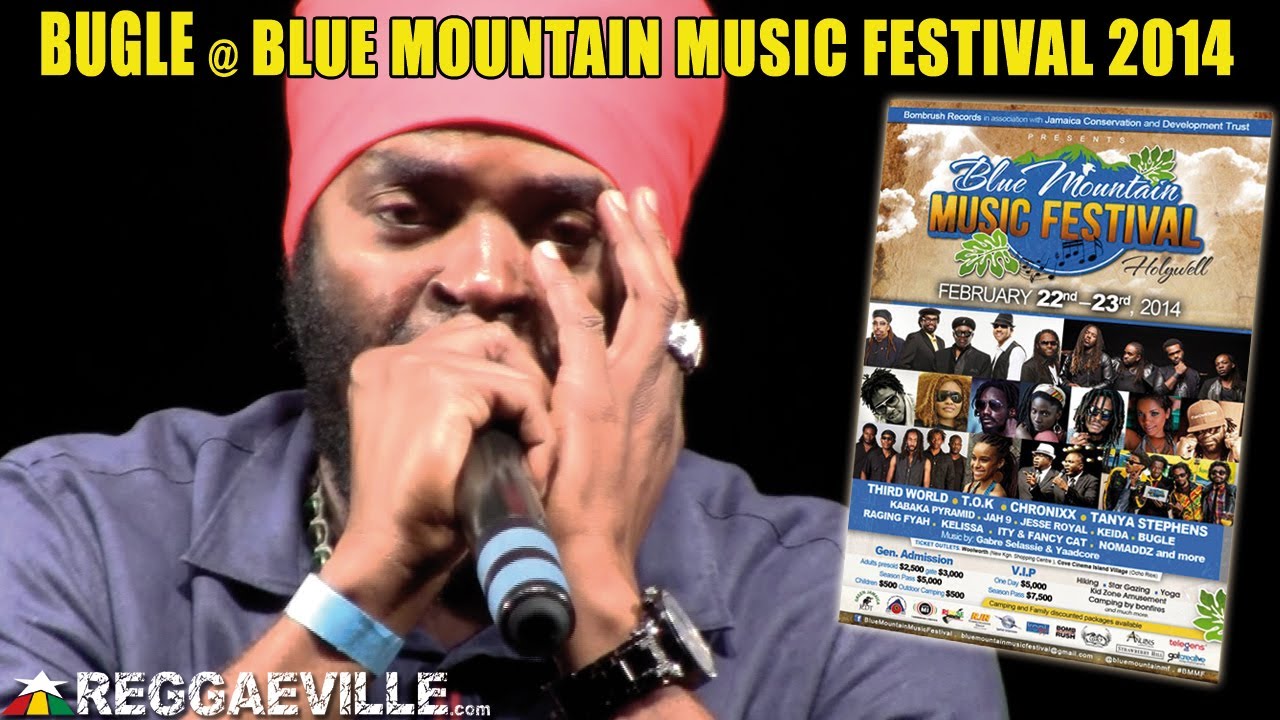 Bugle - Doh / Wrong Priority / Anything Goes  @ Blue Mountain Music Festival 2014