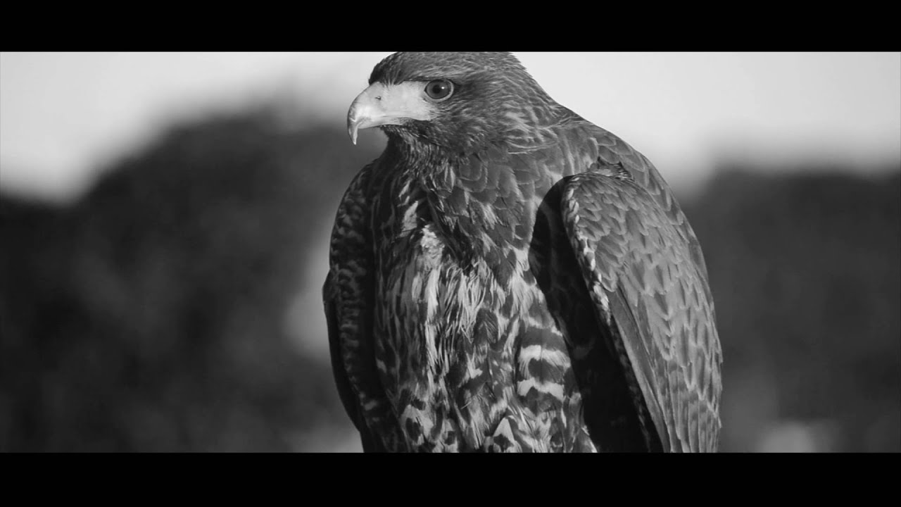 AFTER THE RAIN - A Pleasure like You (OFFICIAL VIDEO)