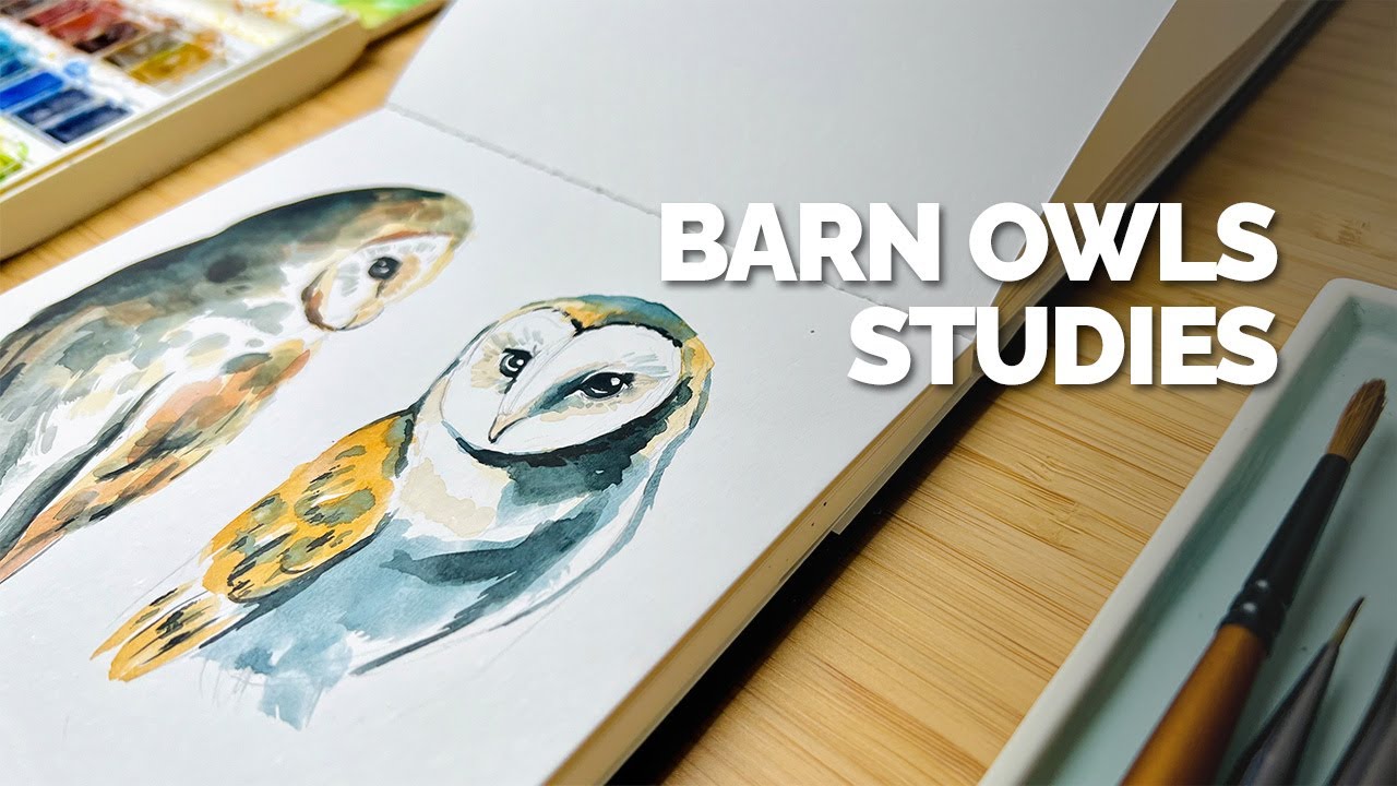 Barn Owls - Sketch & Watercolour Studies