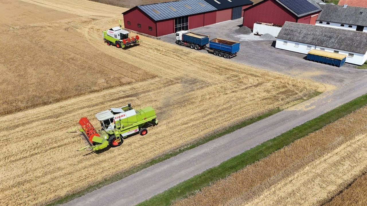 2X Claas spannmålsskörd 2025