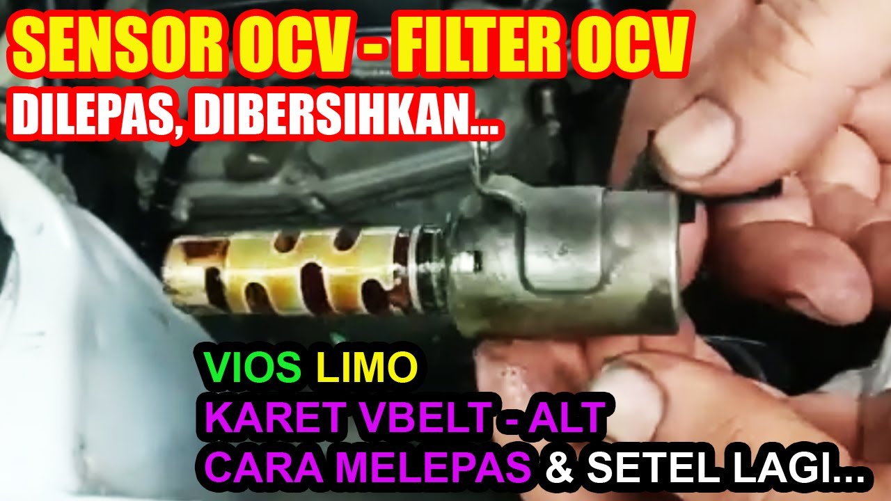 SENSOR OCV (VVTI) & VBELT || Cara Melepas Ocv... Dan Setel Karet V-Belt || Toyota Vios Limo