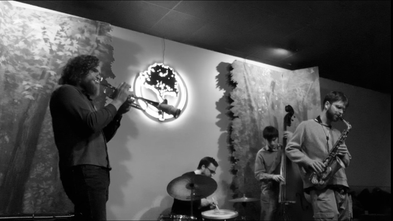 Live @ The Treelawn