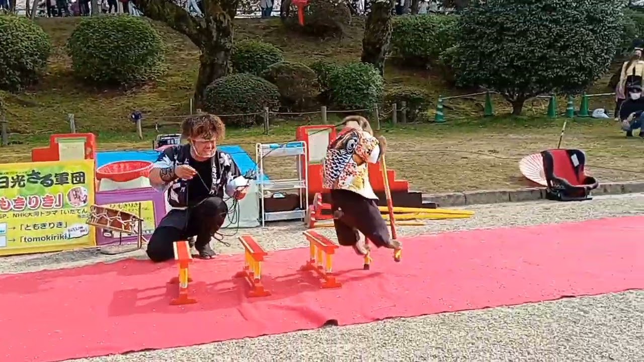 #ともきリキ＃猿   おもろかった‪w