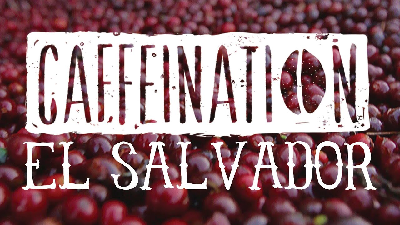 CAFFEINATION El Salvador