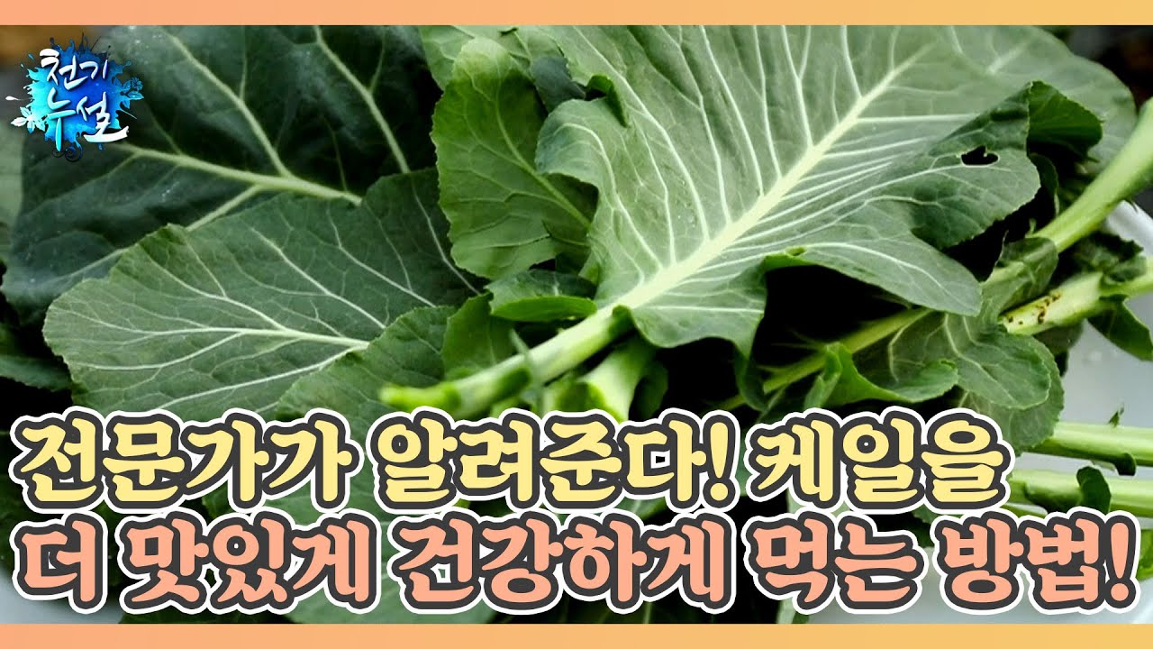 전문가가 알려준다! 케일 더 맛있게 건강하게 먹는 방법은? MBN 220325 방송