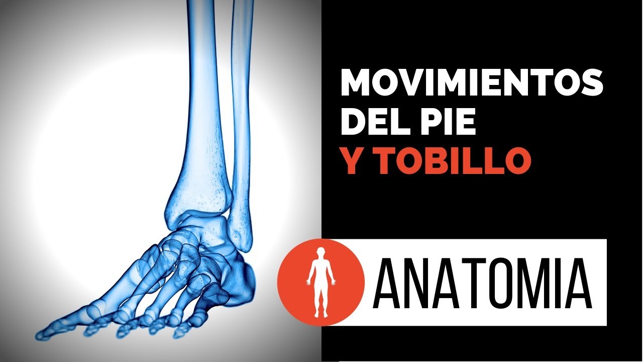 PIE: Movimientos de Pronación, supinación, abducción, aducción del pie. Con inversión y eversión.