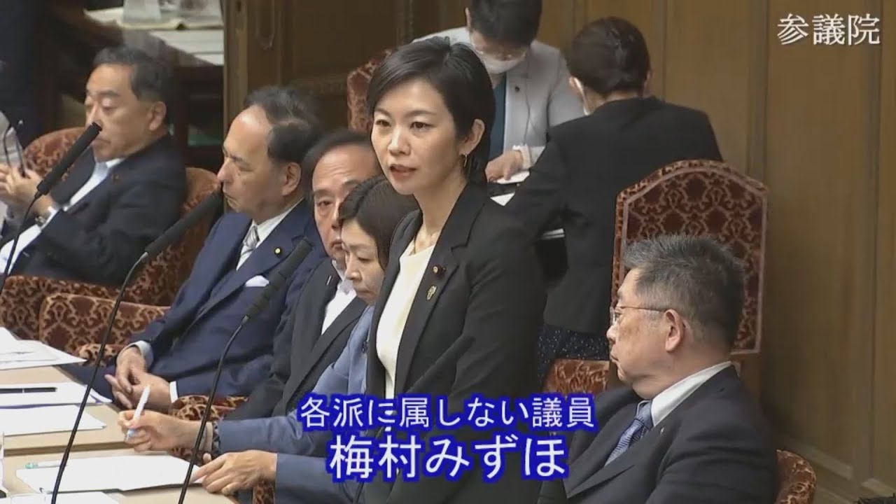 2025.05.27 財政金融委員会・質疑　梅村みずほ