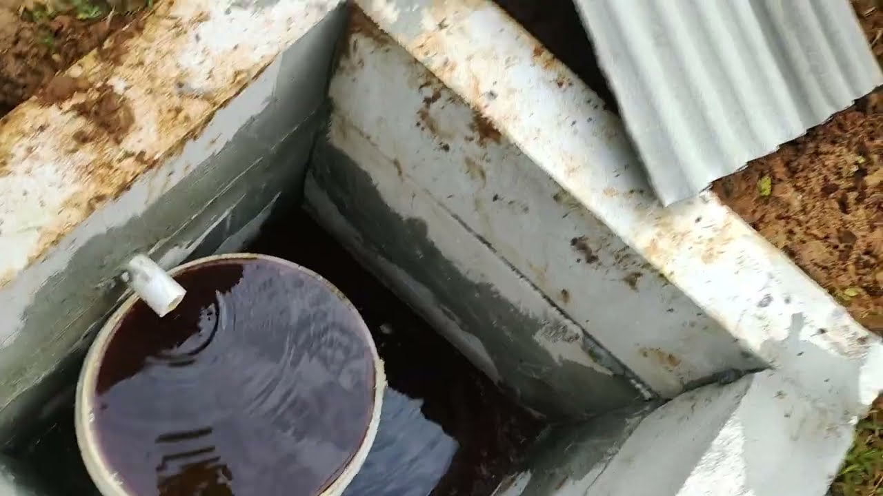Kandang Terkoleksi Irit Biaya ala Berkah Mendho Farm