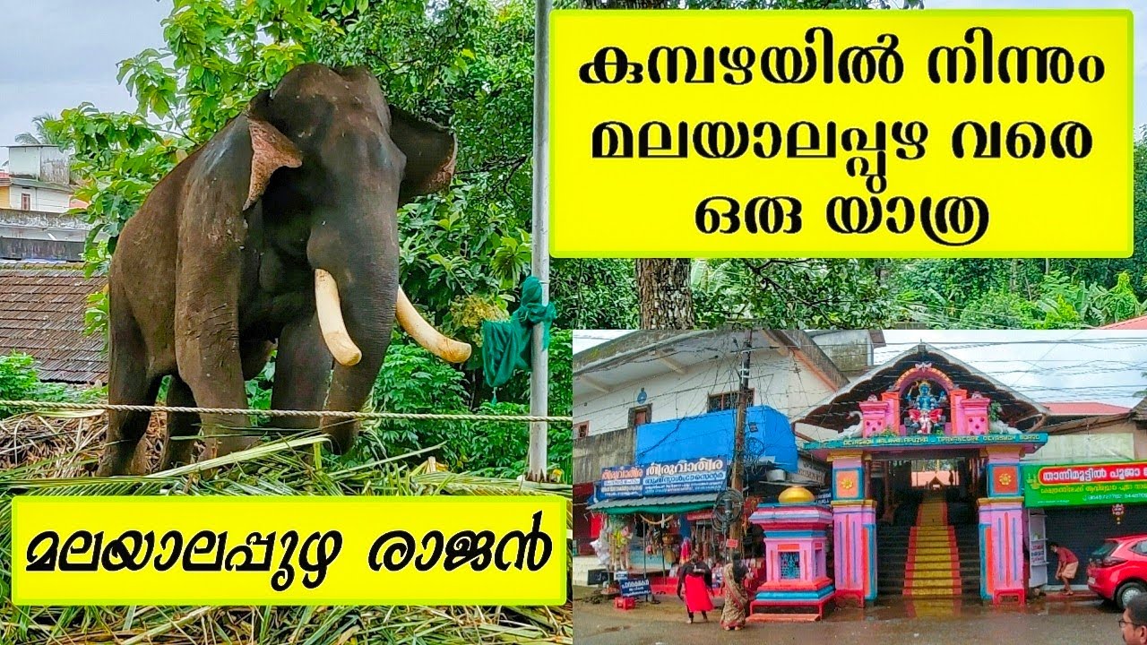 Malayalapuzha Rajan | Kumbazha To Malayalapuzha | കുമ്പഴയിൽ നിന്നും മലയാലപ്പുഴരാജനെ കാണാൻ ഒരു യാത്ര