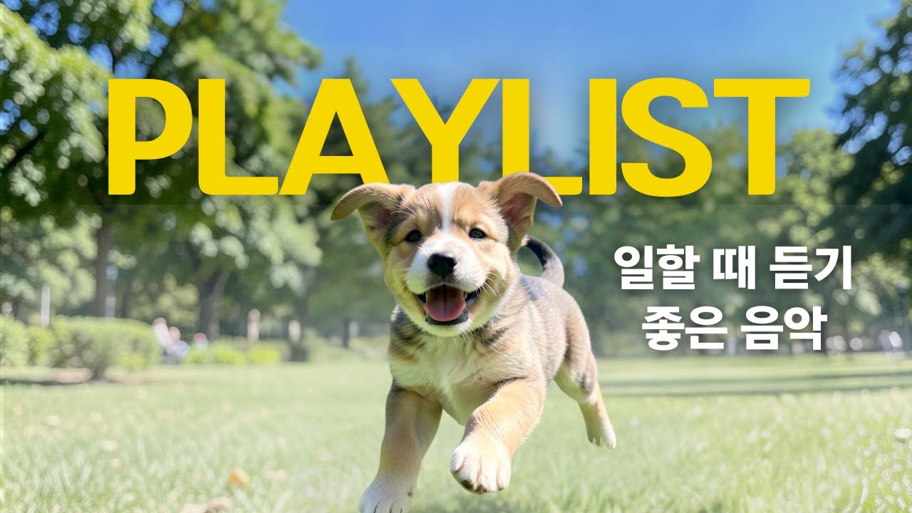 일할 때 듣기 좋은 팝 플레이리스트 | 집중 잘되는 기분 좋은 카페 음악