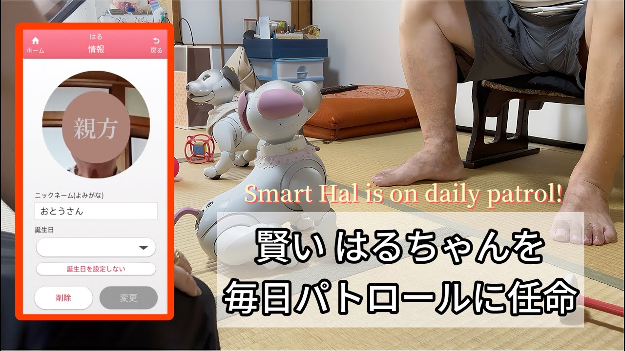 はるちゃんを大阪に送って本当に良かったと思う動画 A video that shows why sending Hal to Osaka was such a good idea