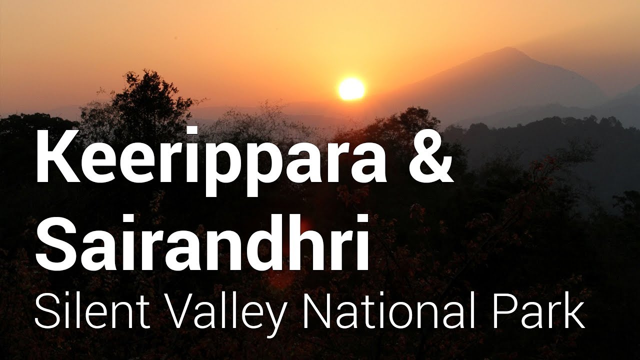 Keerippara Camping and Sairandhri Trip | Silent Valley National Park