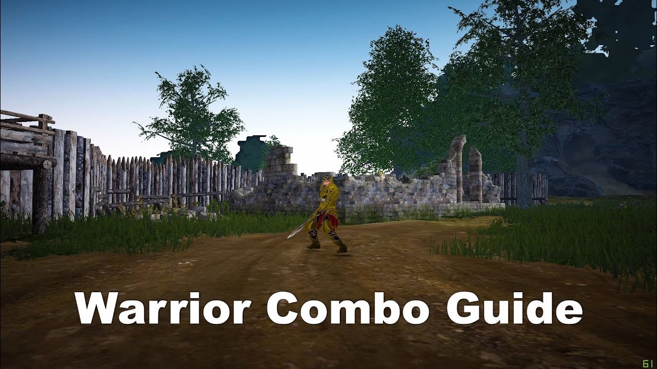 Black Desert Online - Warrior Combo Guide - 2019