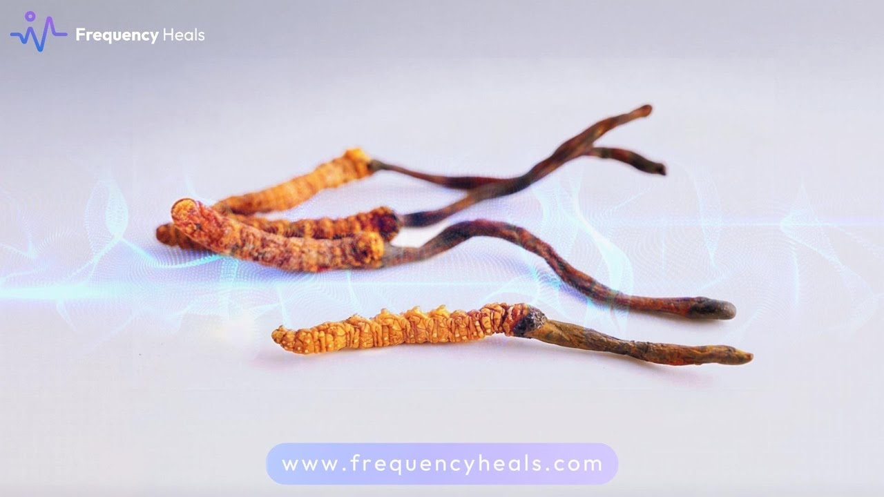 Better Metabolism, Oxygen Flow and Longevity | Energy BOOST, Stamina & Lung Health | Cordyceps Freq