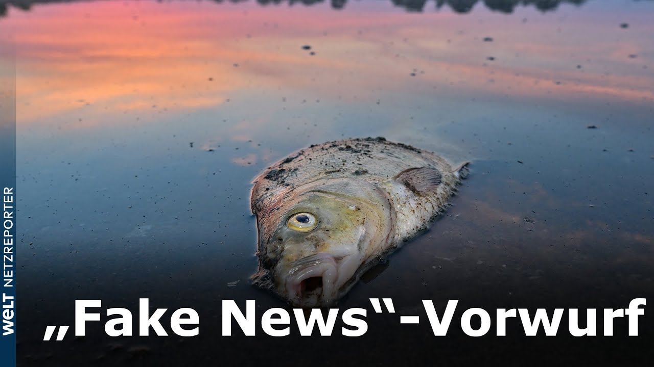 UMWELTKATASTROPHE AN DER ODER: Polen wirft Deutschland „Fake News“ in Bezug auf Fischsterben vor