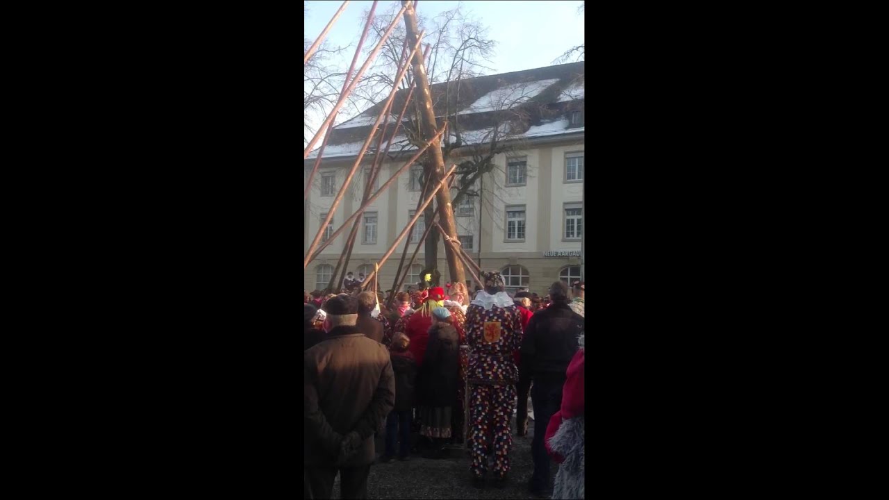 Narrenbaum Laufenburg