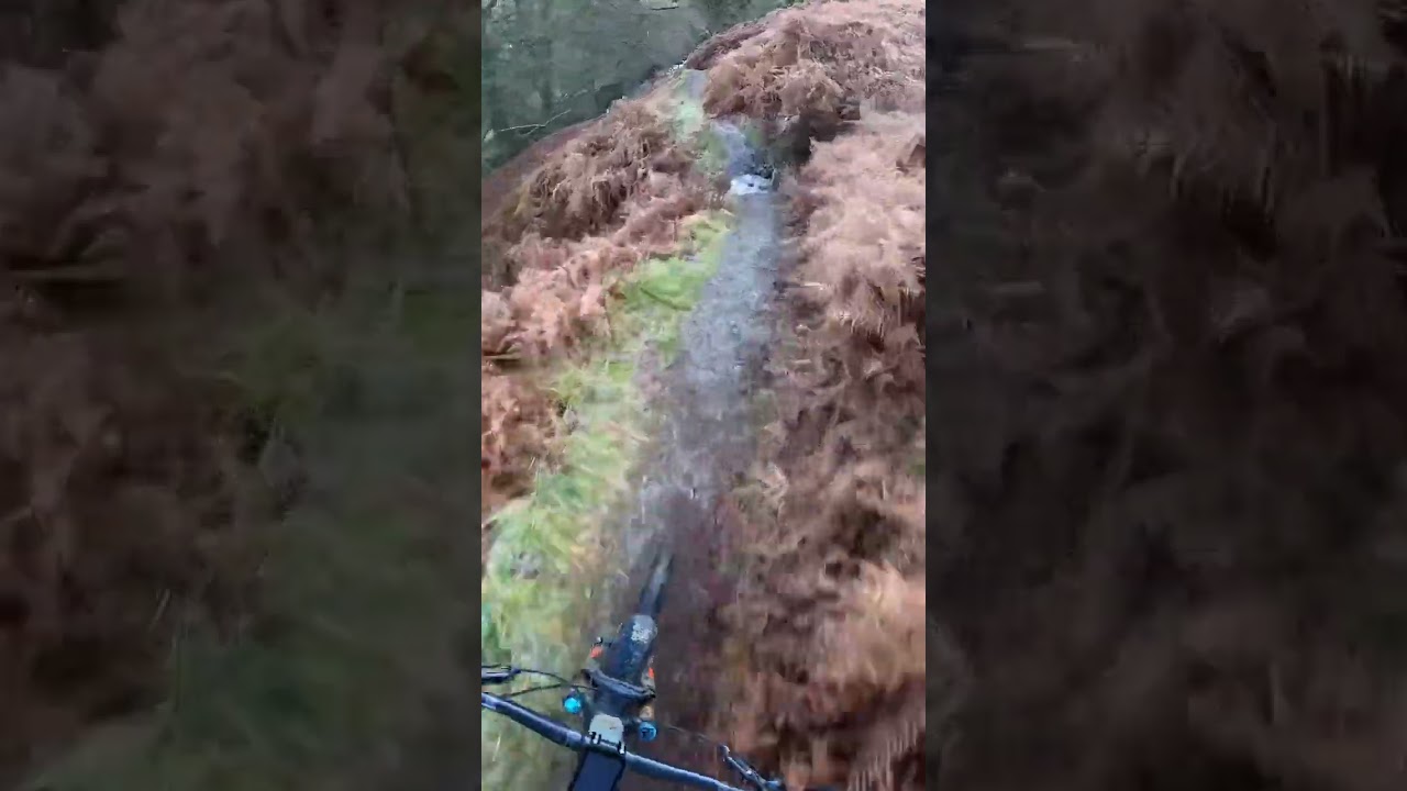 Pateley Bridge to the lead mines