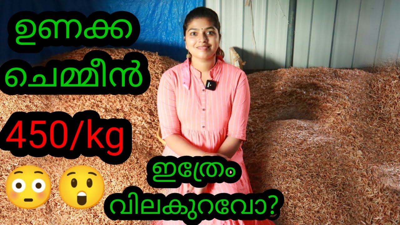🔥😲2000 kg ചെമ്മീൻ ഉണക്കുന്നത് കണ്ടാലോ.... ||smeesworld ||Dry prawns ||
