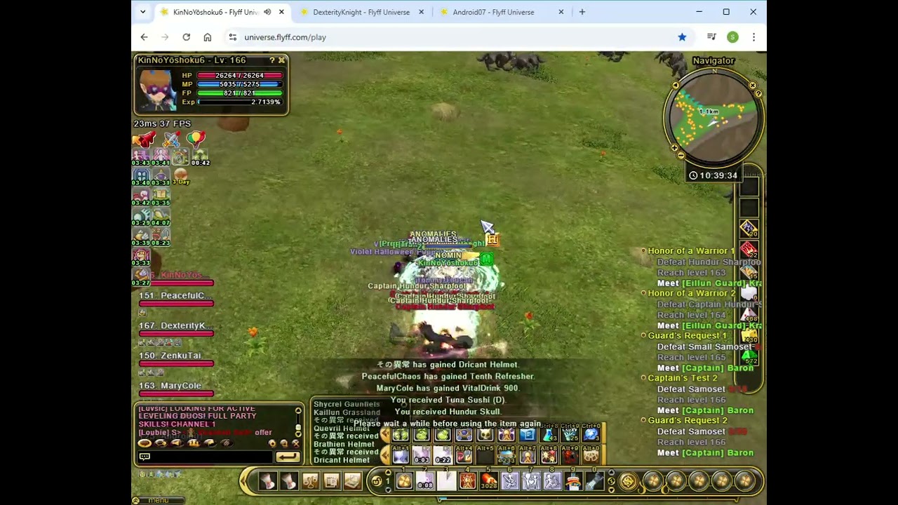 Flyff Universe   LV166 Mentalist DEX STA