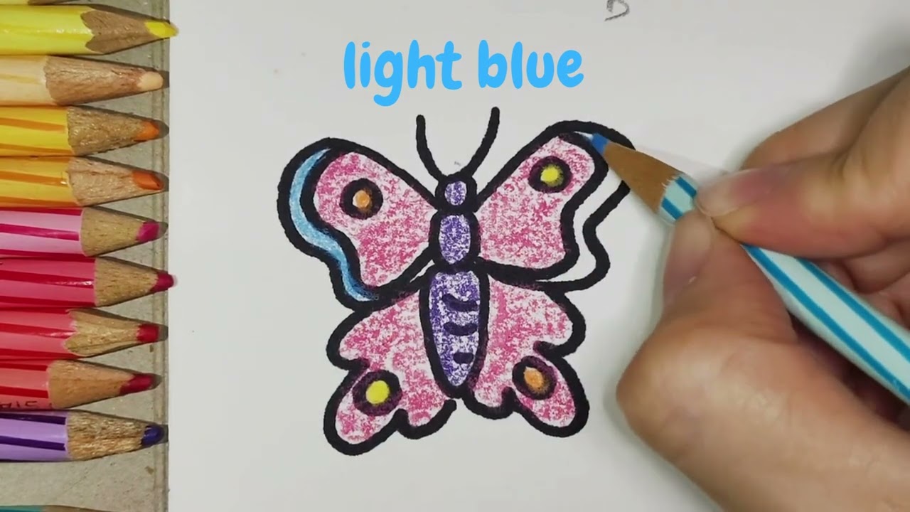 Butterfly Animated Drawing [#123art Draw Alive 4]