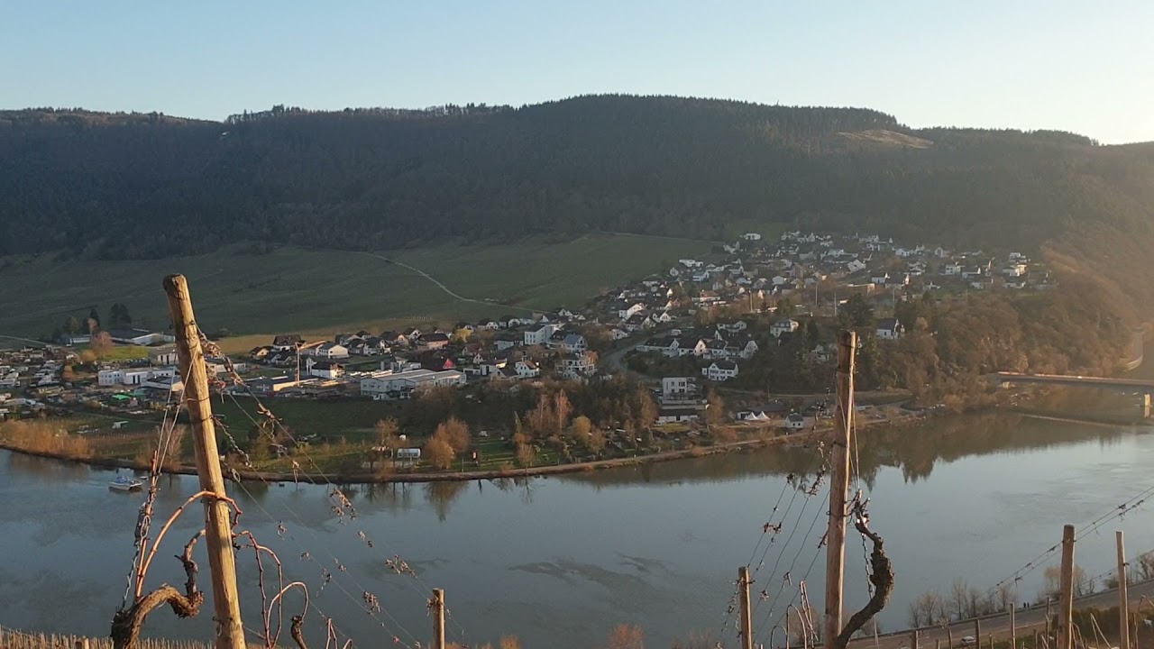 Mehring an der Mosel