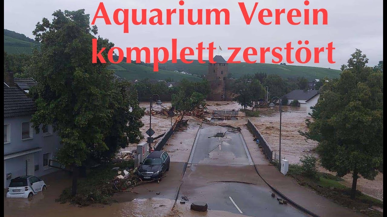 Unser Aquarium findet den Weg zu Flutopfern in Bad Neuenahr