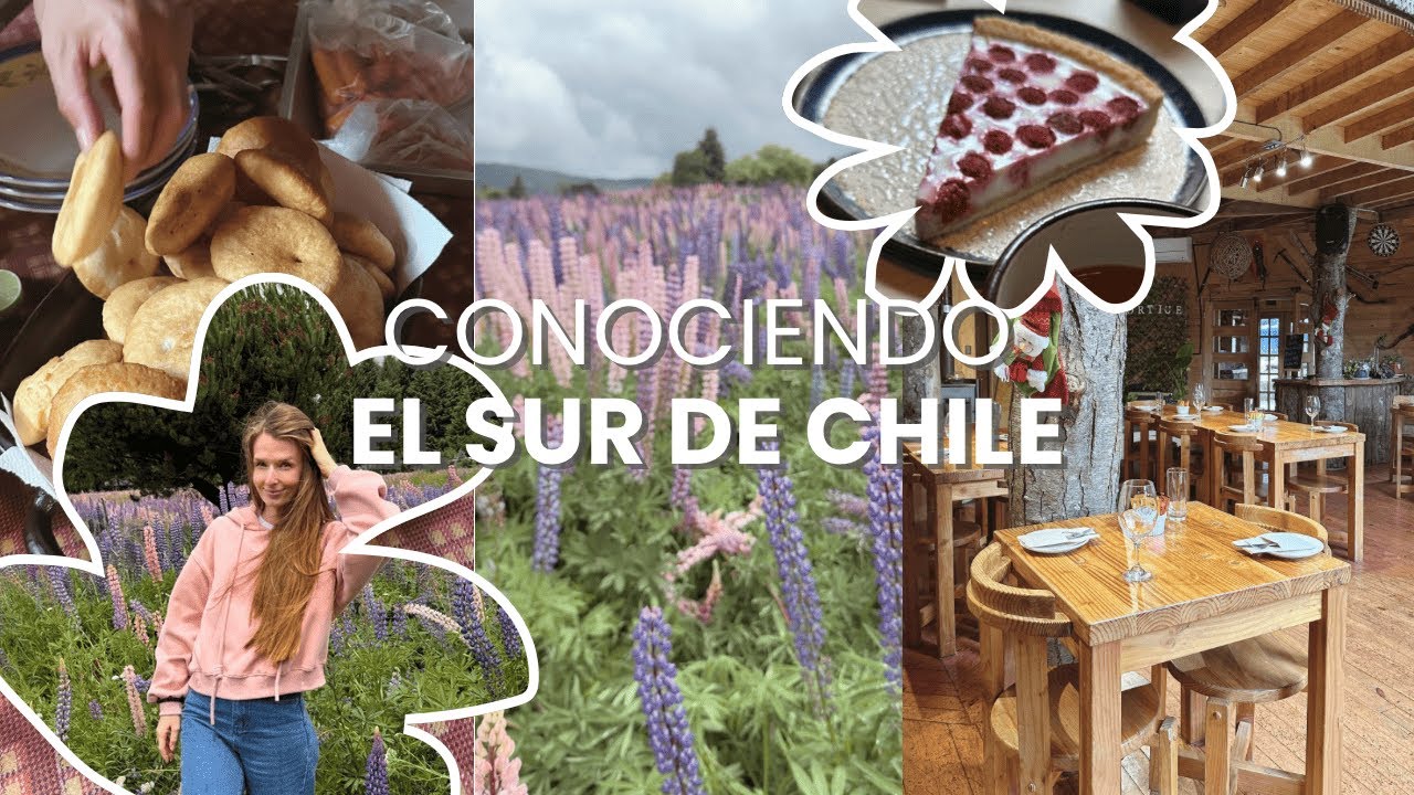 Mi experiencia en el sur de Chile | vida tranquila, asado y rutinas diarias