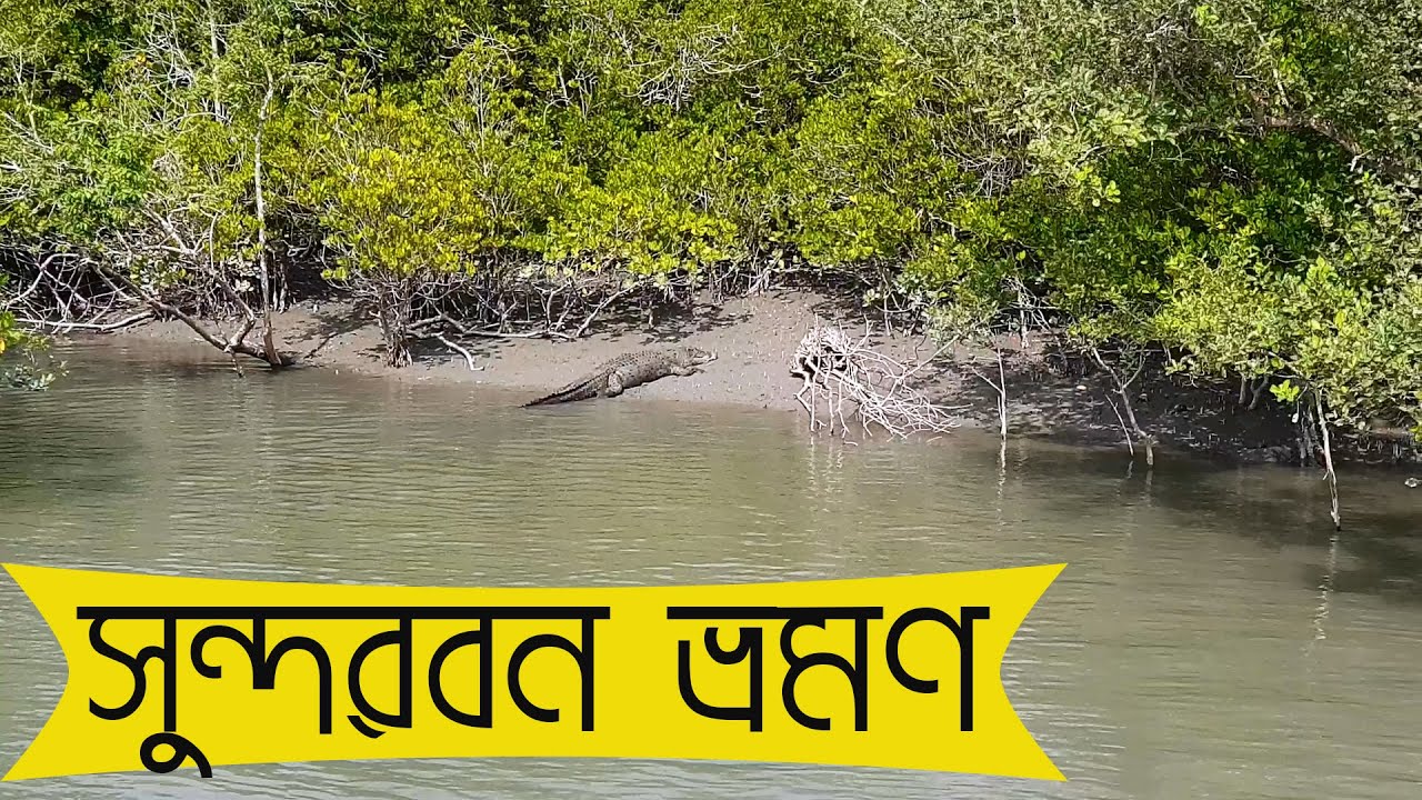 Sundarban Travel || All about the jungle and journey by boat || Pakhirala to Dobaki