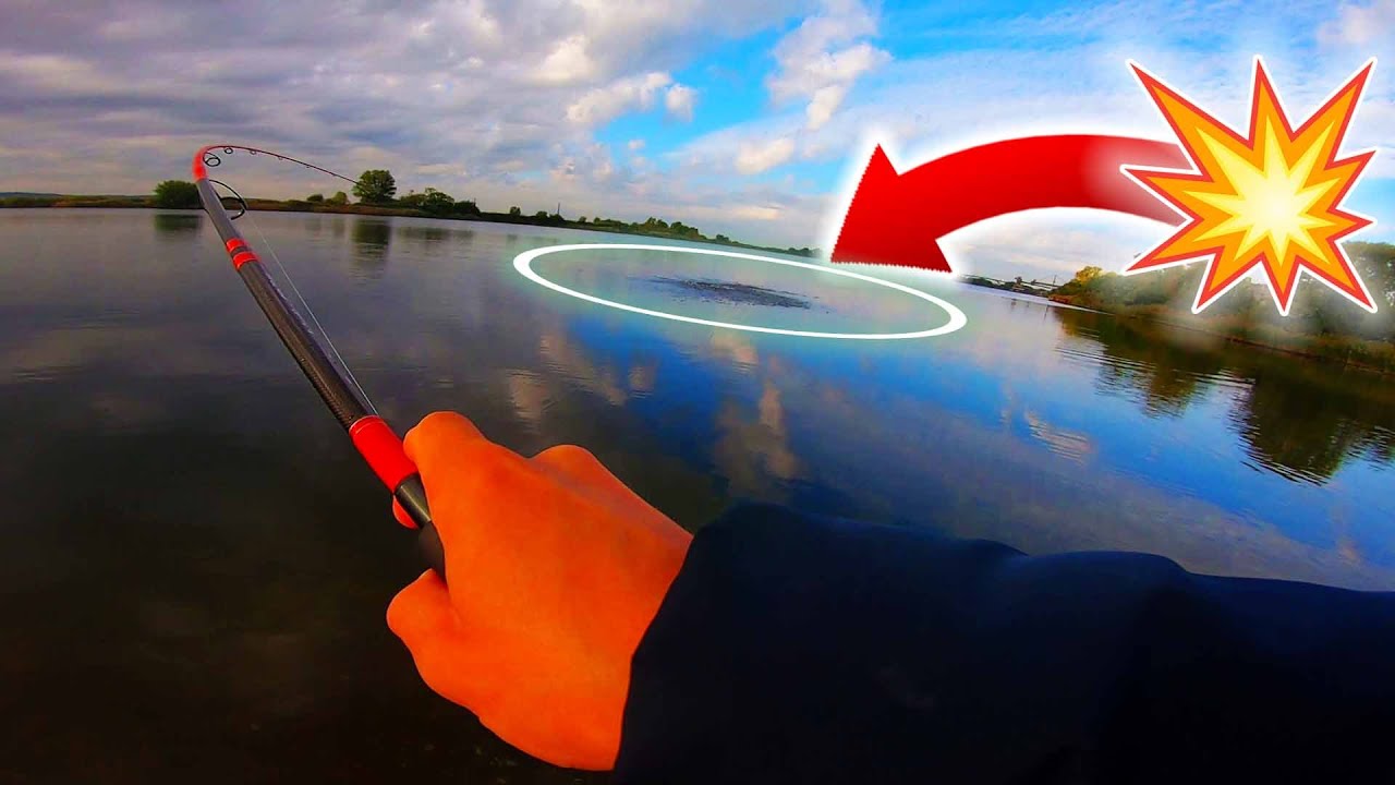 LA SURFACE : UNE DES PLUS BELLE P&Ecirc;CHE POUR LE BAR !