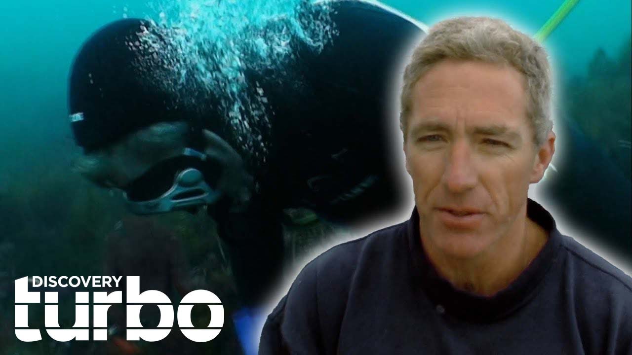Divers Search For Precious Abalone In Shark Infested Waters | Abalone Wars