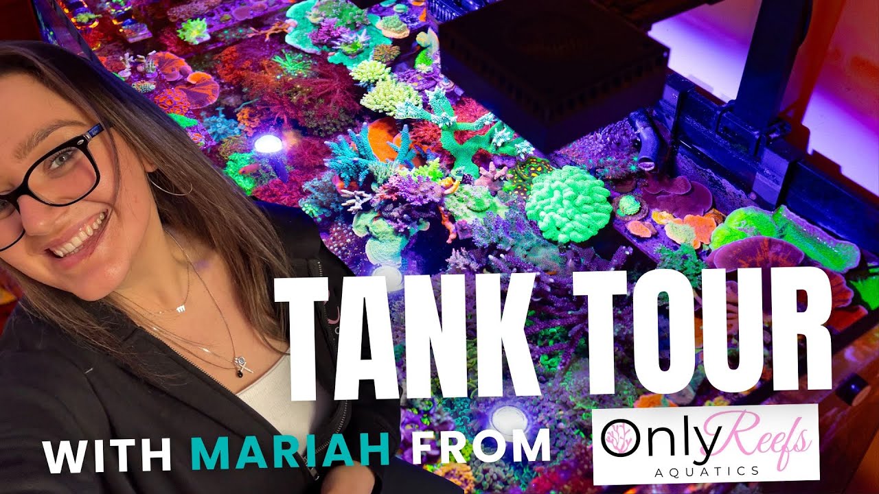 How is this amount of coral possible?! Full Tank Tour with Mariah from 