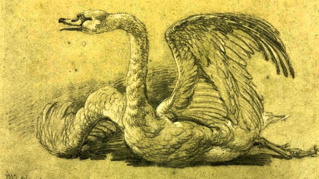 Muore il cigno