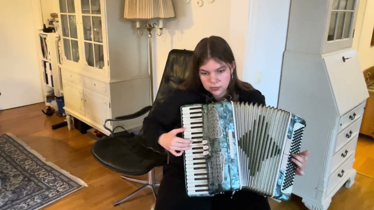 Accordion night- cover