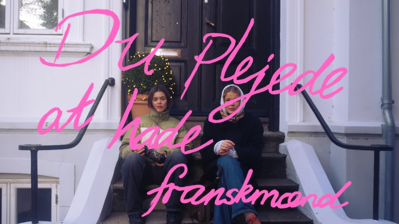 Du plejede at hade franskmænd