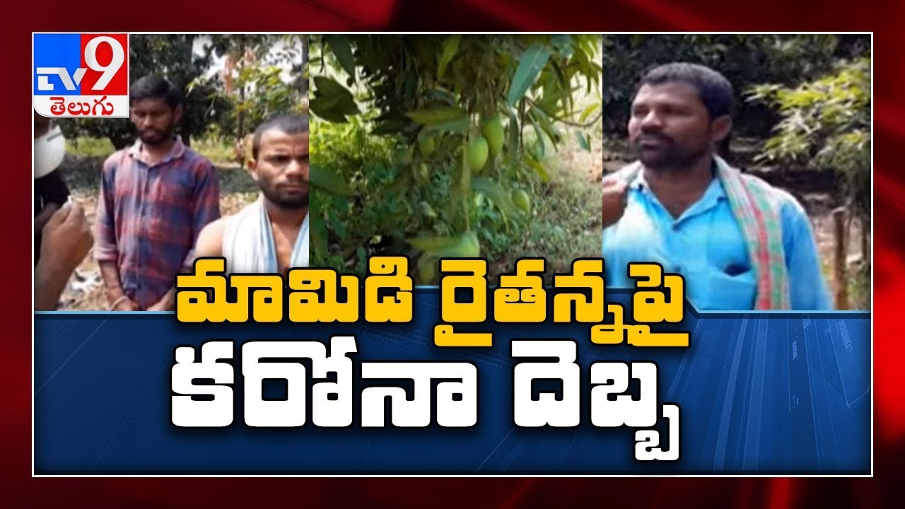 Coronavirus outbreak : Mango exports hit, farmers affected - TV9
