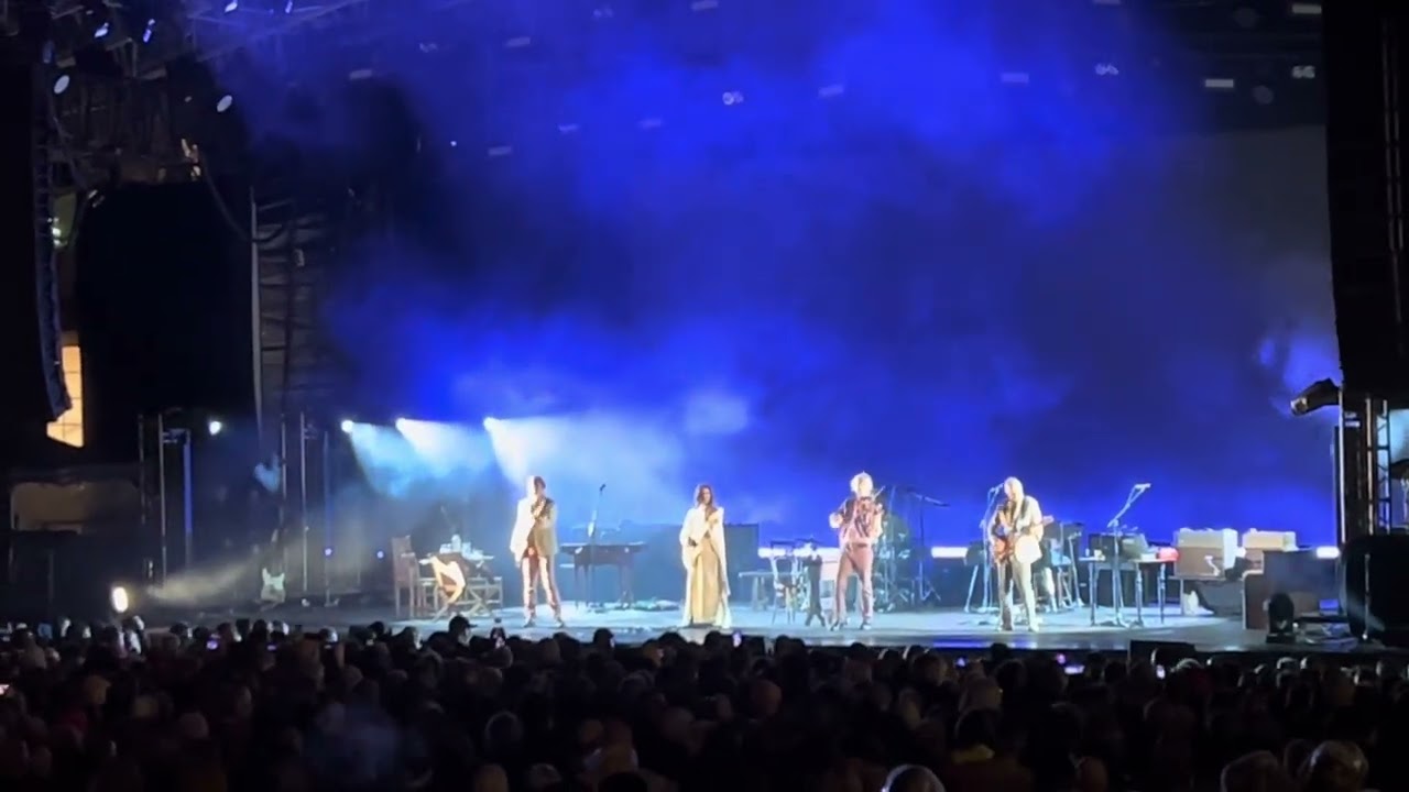 PJ Harvey : Man-size & Dress 20/8/24