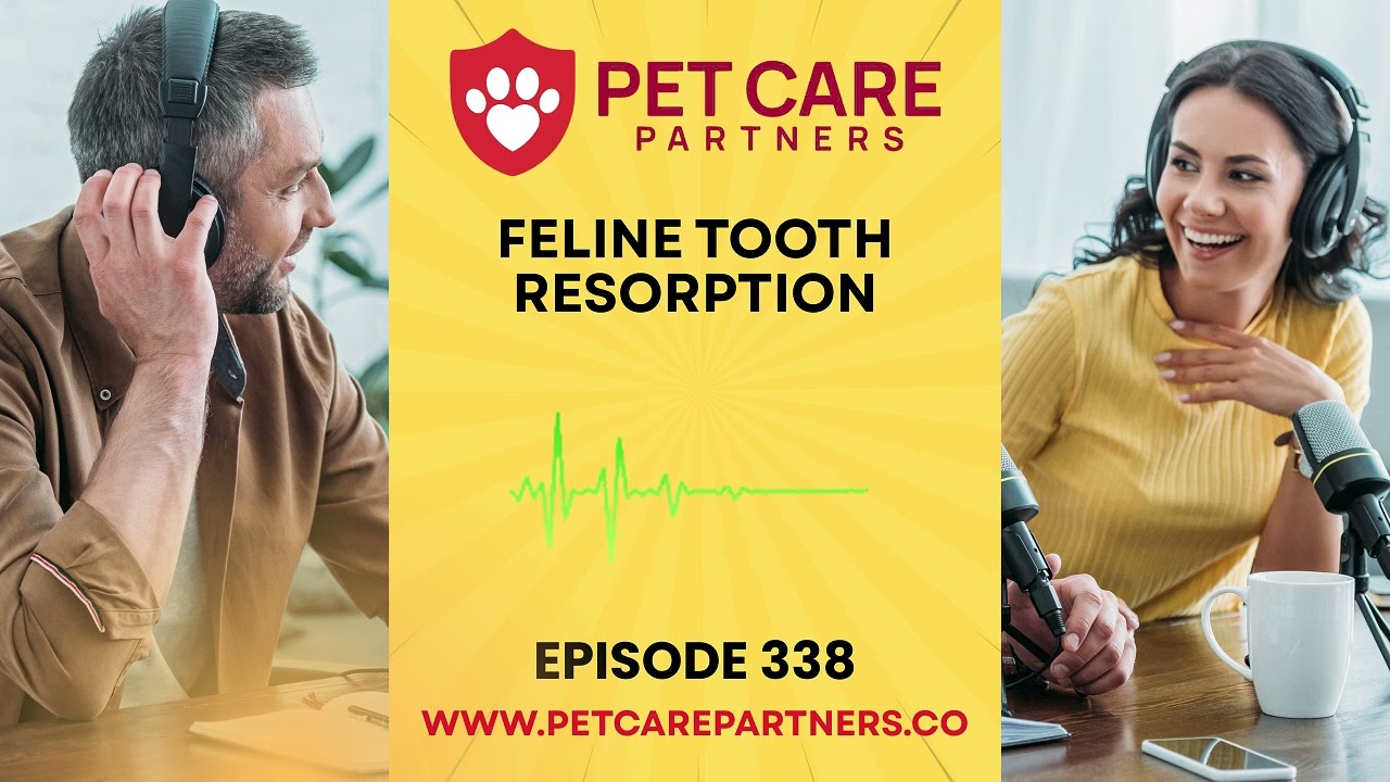 EP 338: Feline Tooth Resorption – The Hidden Pain in Cat Mouths | Pet Care Partners Podcast