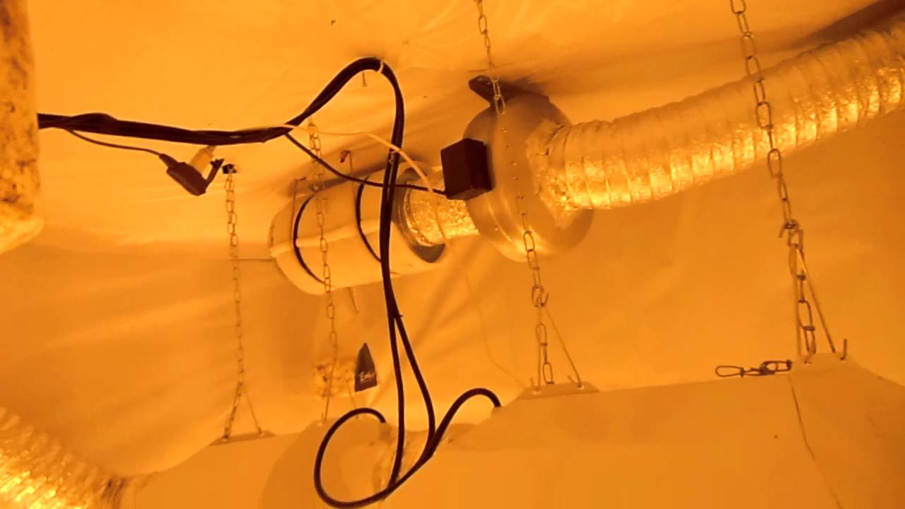 Pimp little grow room