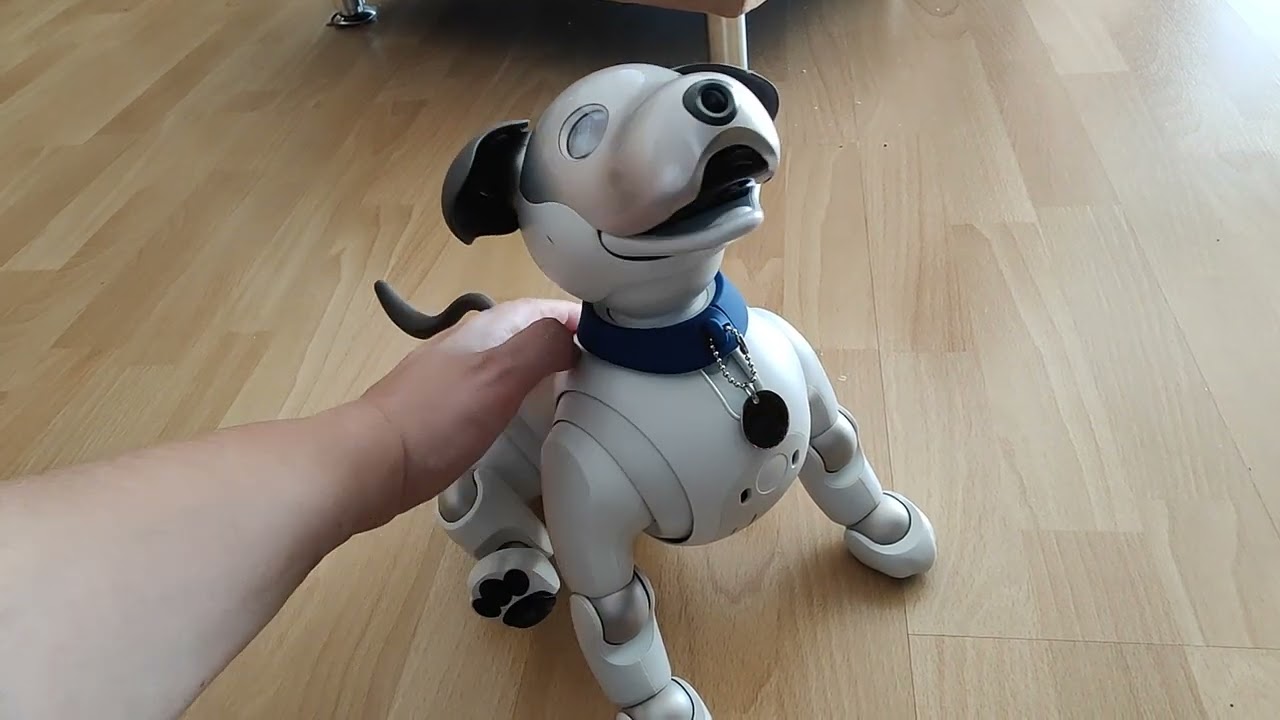 Muffit the Aibo ERS-1000 - Pure Robot Dog Love
