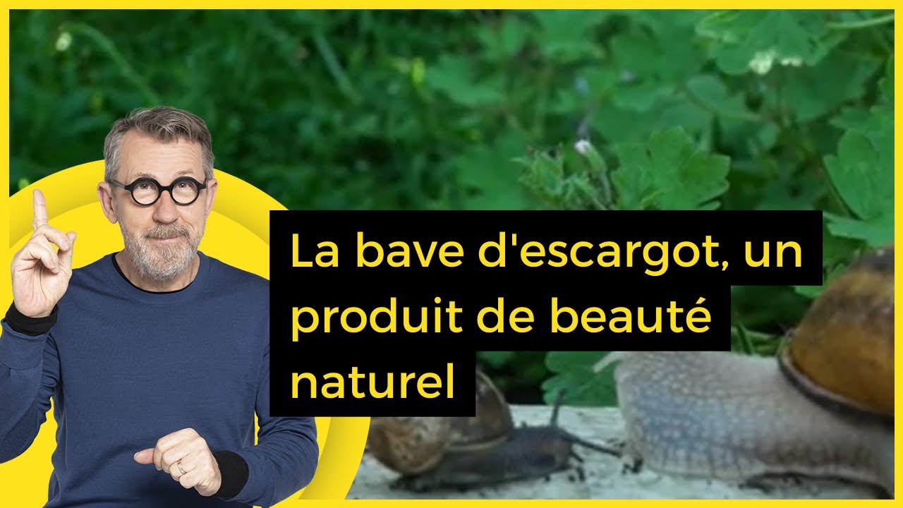 La bave d'escargot, un produit de beauté naturel - C Jamy