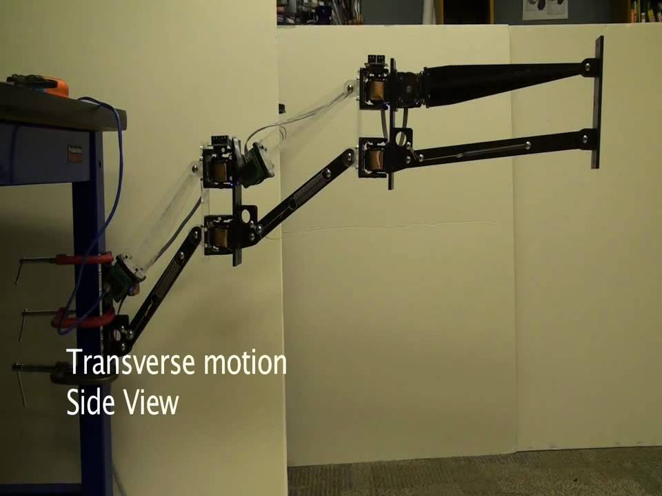 Gravity compensated modular manipulator arm