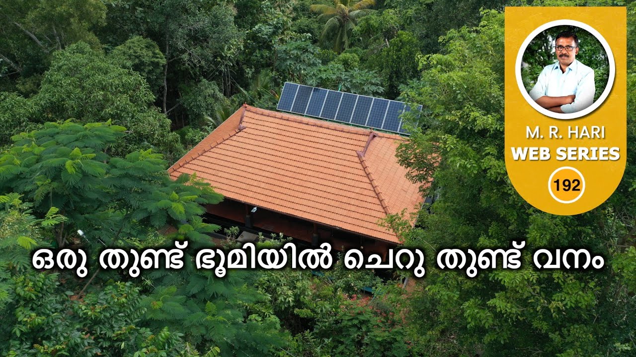 A Tiny Forest on a Tiny Plot/ഒരു തുണ്ട് ഭൂമിയിൽ ചെറു തുണ്ട് വനം