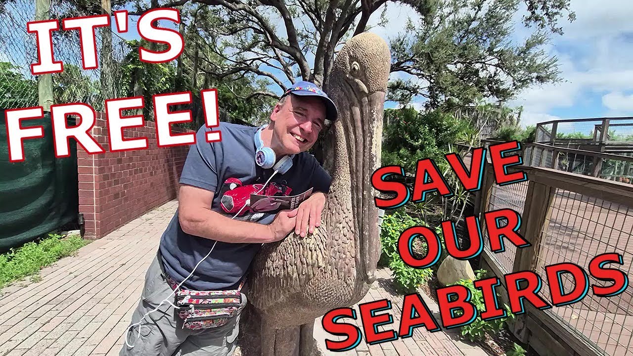 More FREE things to do in Florida!