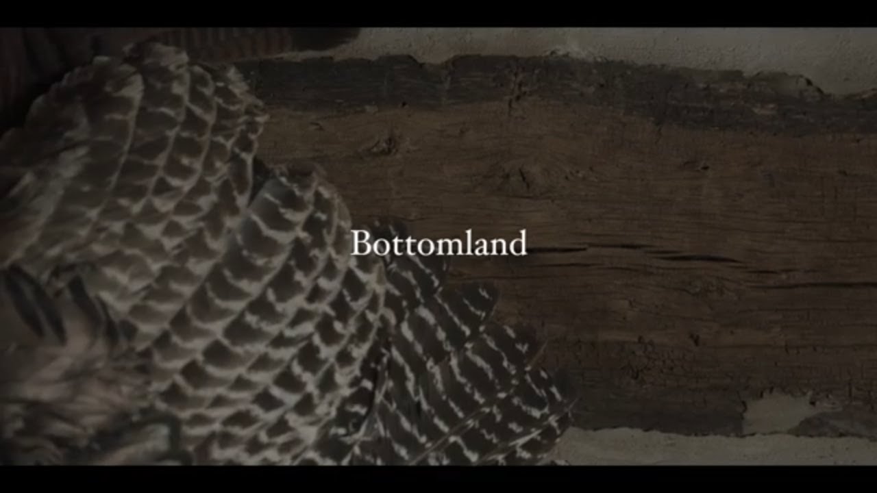 Bottomland | The Fabric of a Brand | A Mossy Oak Short Story
