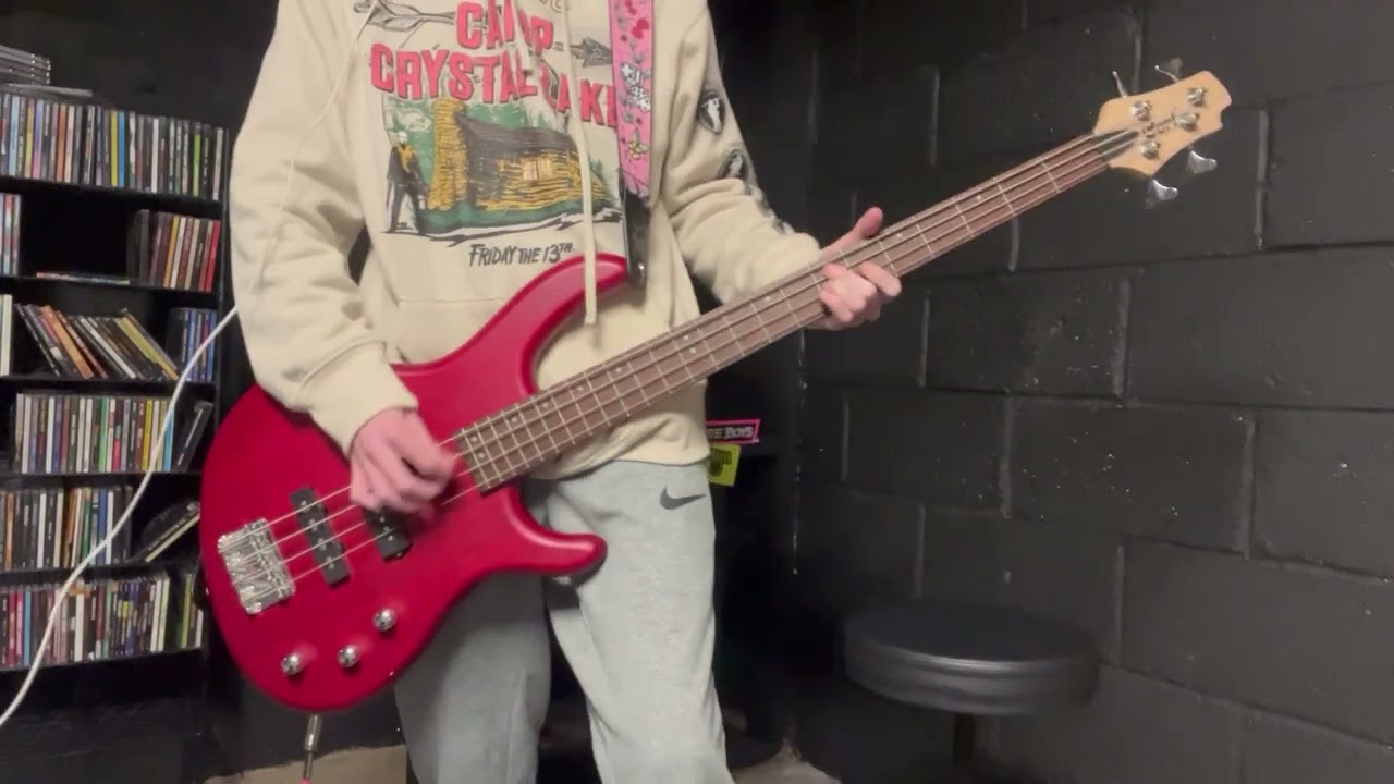 Banned In D.C. - Bad Brains BASS COVER