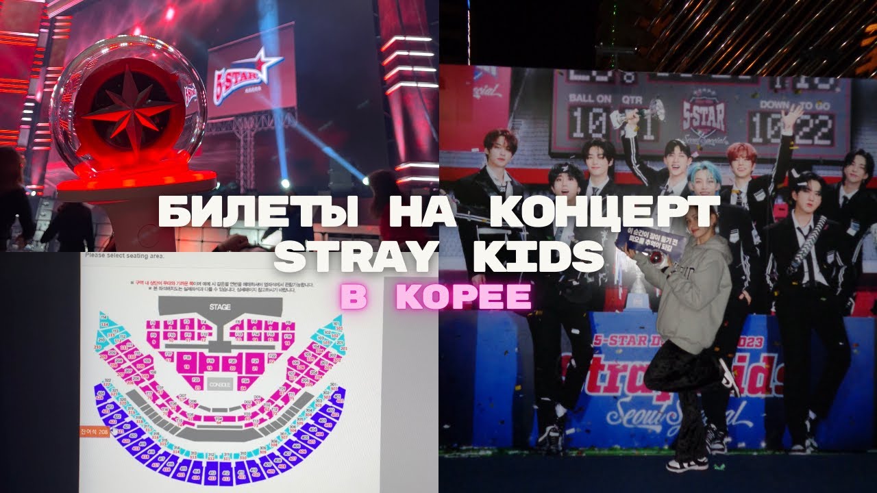 покупаем билеты на концерт Stray Kids в Корее // СТРЕСС