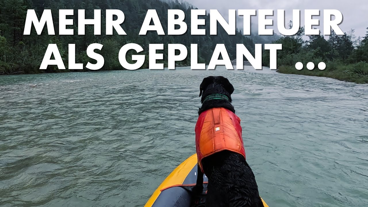 Cedric der Labrador - 274 | Mehr Abenteuer als geplant ...