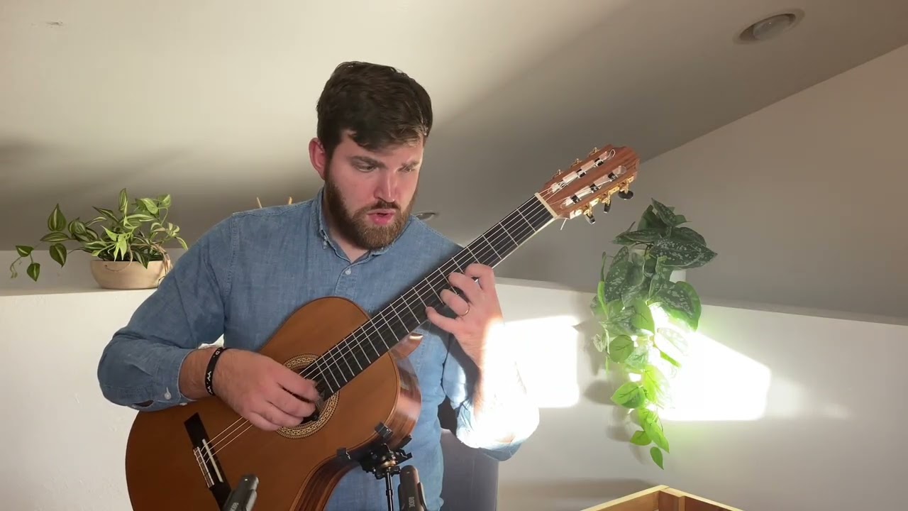 S.L. Weiss Lute Sonata 34: Sarabande | Peter Davis