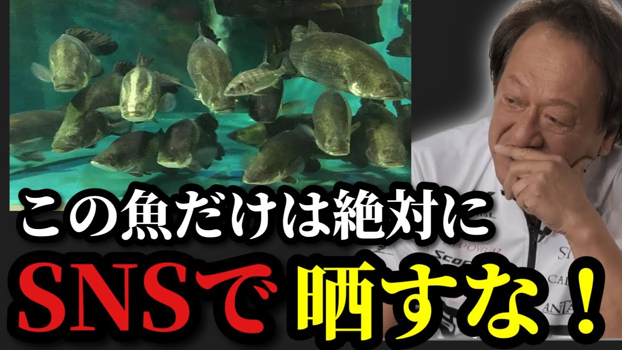 【村田基】※この魚は釣れてもSNSにアップしてはいけません※【村田基切り抜き】