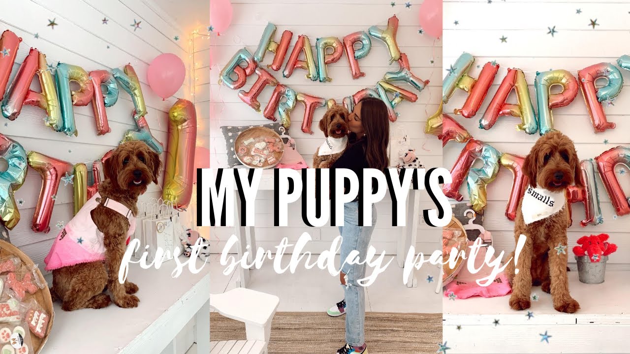 throwing my puppy her first birthday party!!